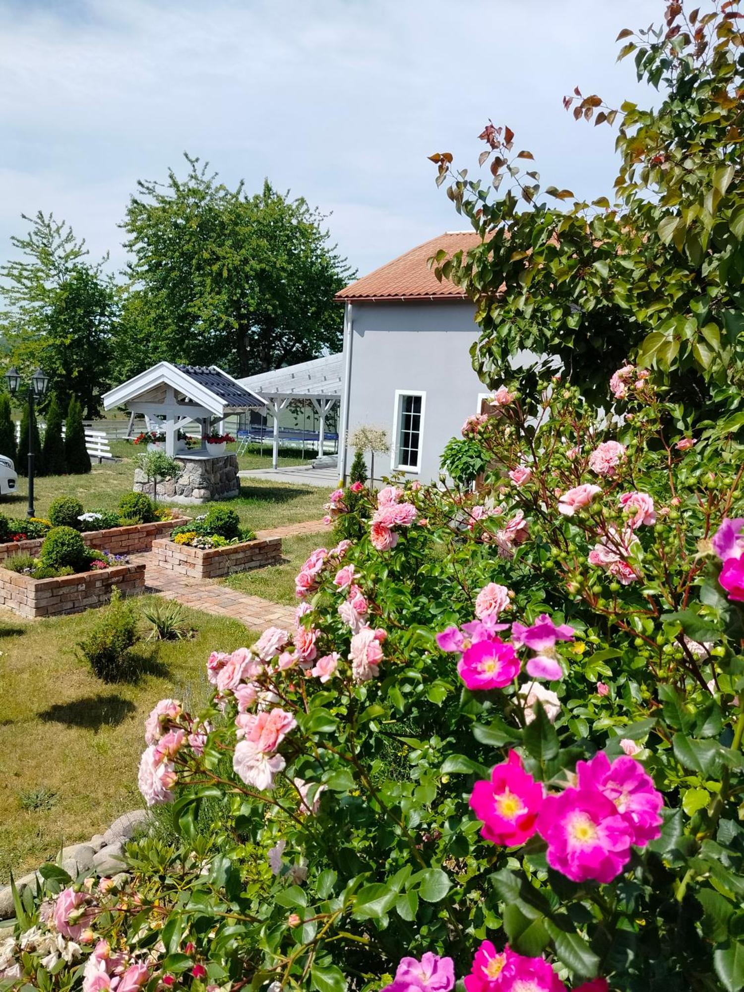 Agroturystyka Rybno Rybno  Εξωτερικό φωτογραφία
